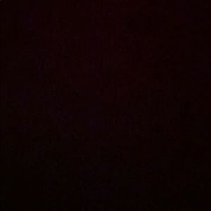 Meet your Posher, Cesar